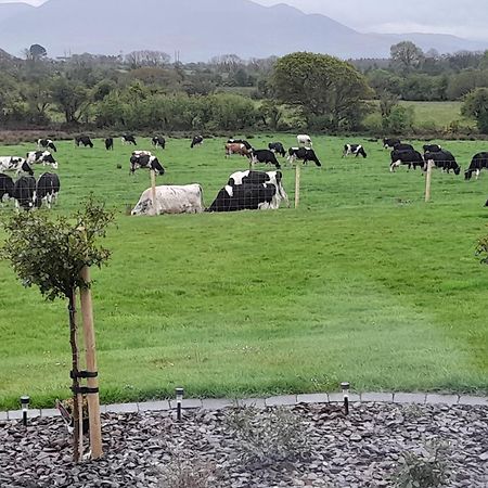 Milltown  Inch View Lodge المظهر الخارجي الصورة